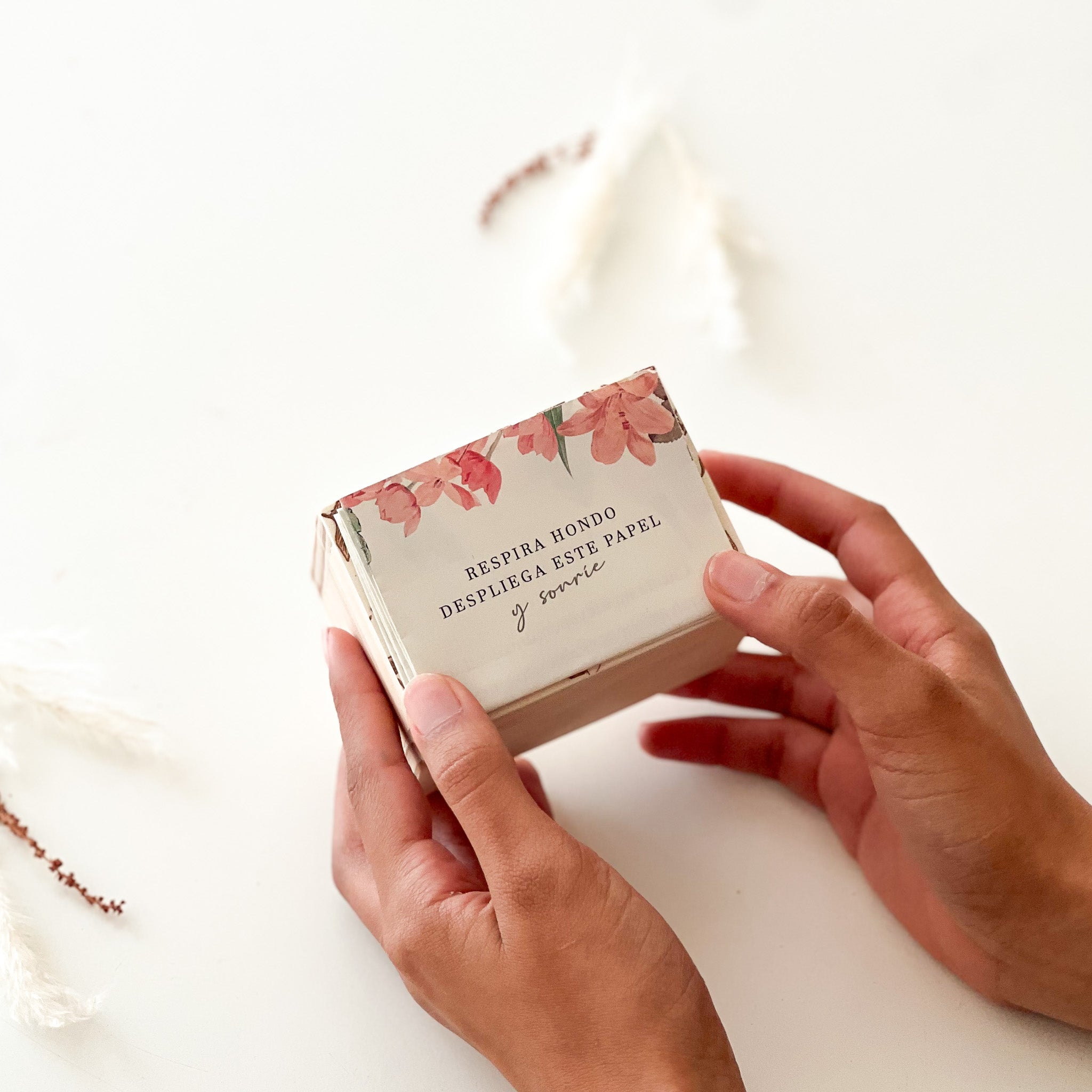 Regalo para Nueva Era