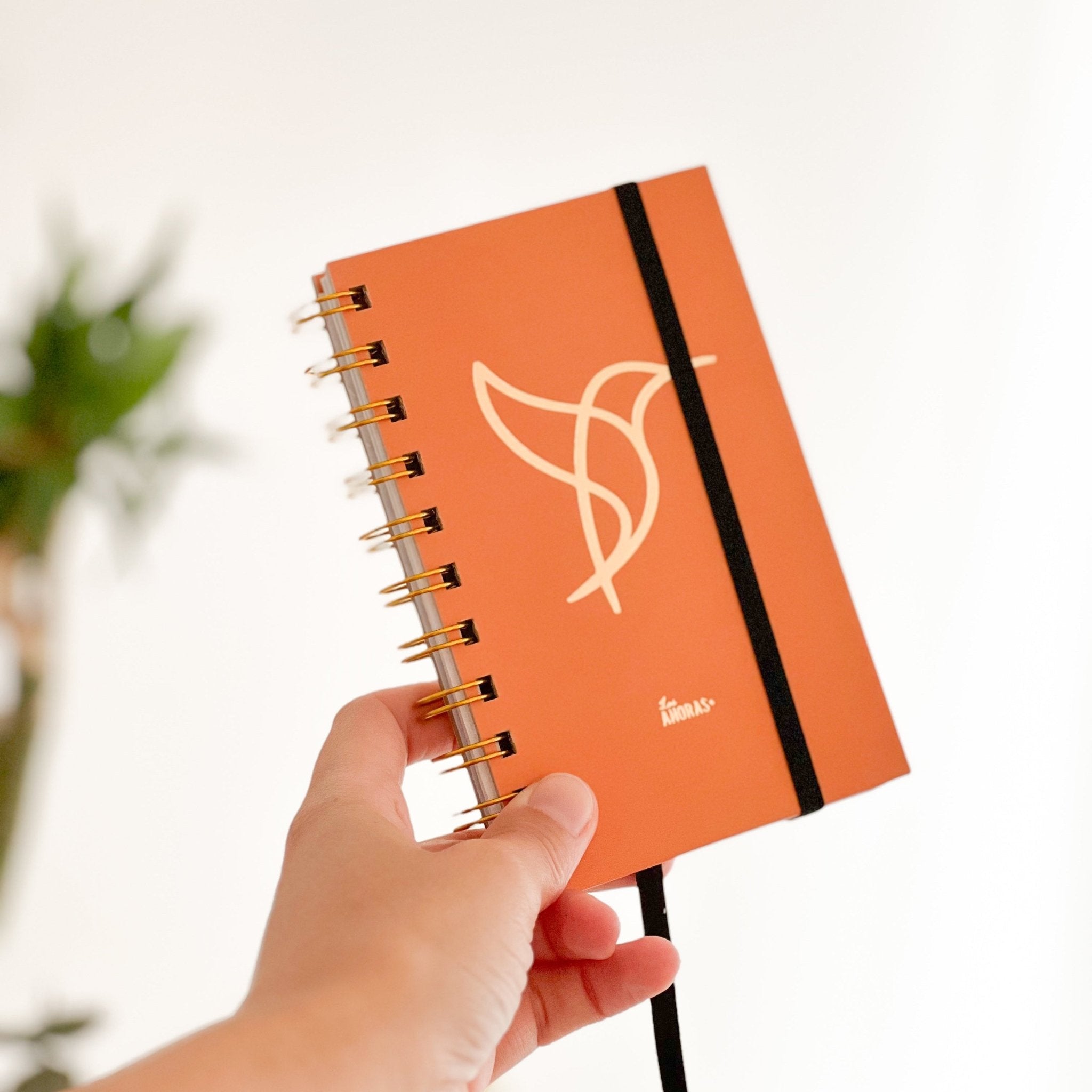 Pack Propósito - LOS AHORAS