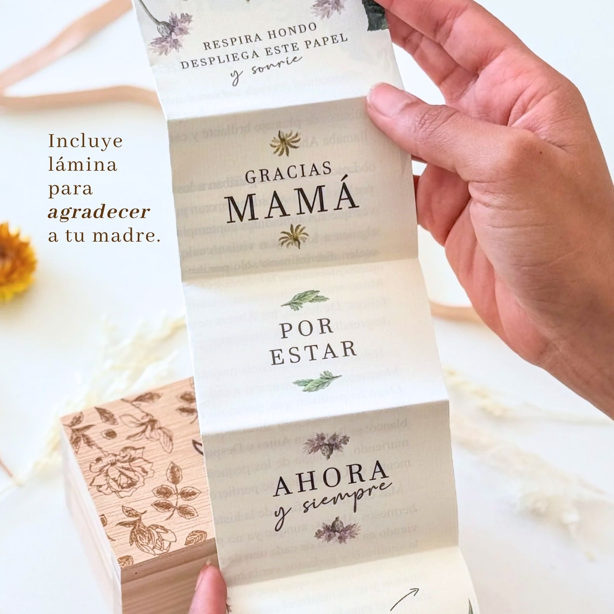 Regalo para Madres - LOS AHORAS