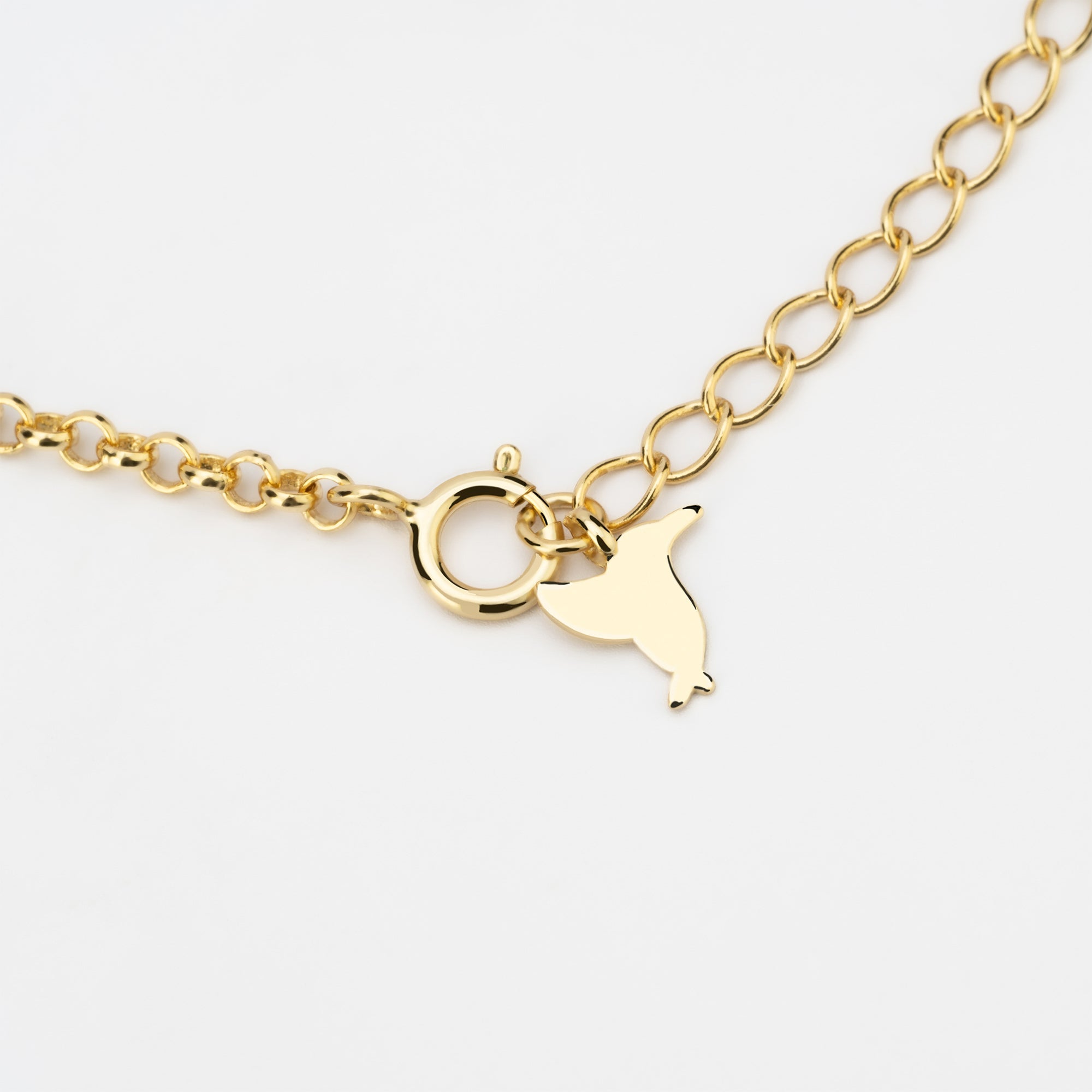 Regalo para Nuevos Comienzos - LOS AHORAS