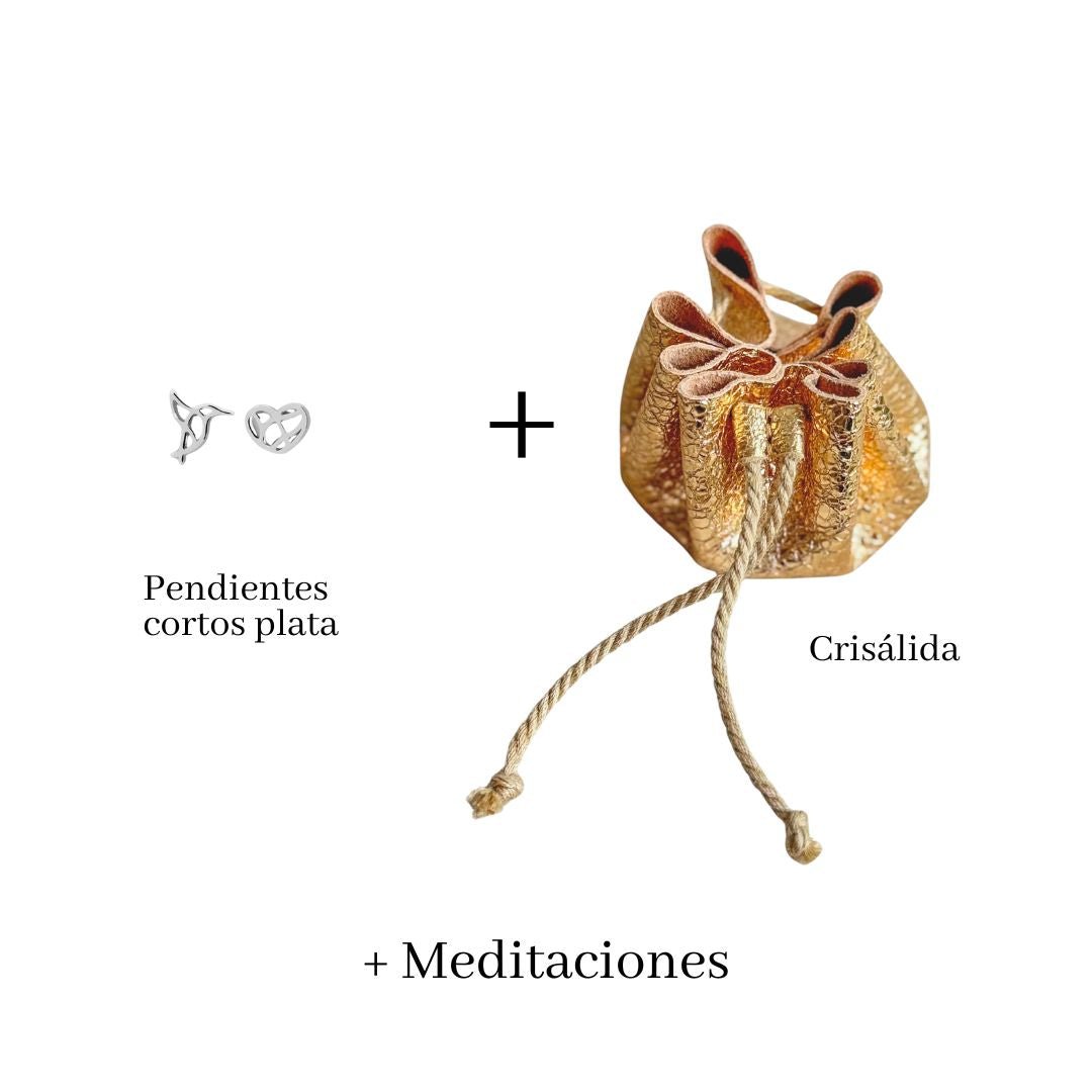 Crisálida del Ahora - LOS AHORAS