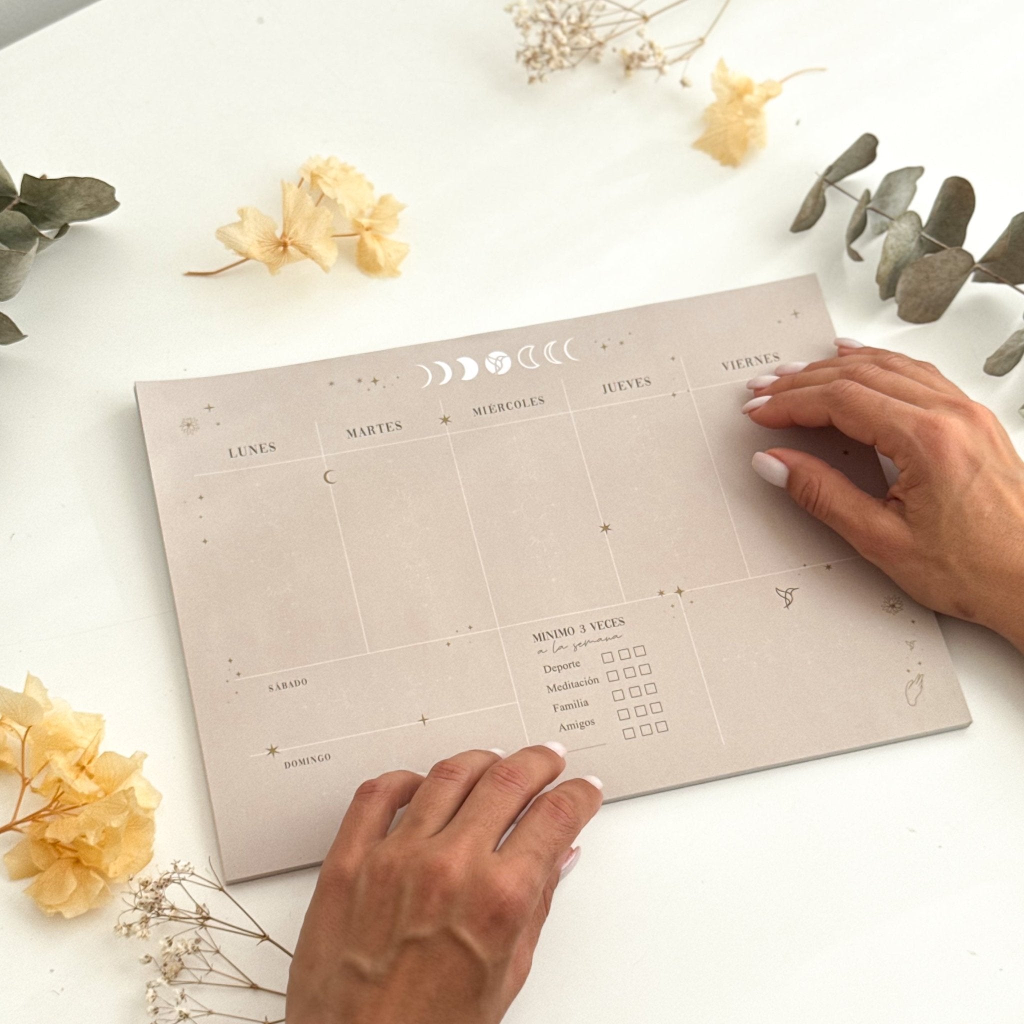 Planificador semanal - LOS AHORAS